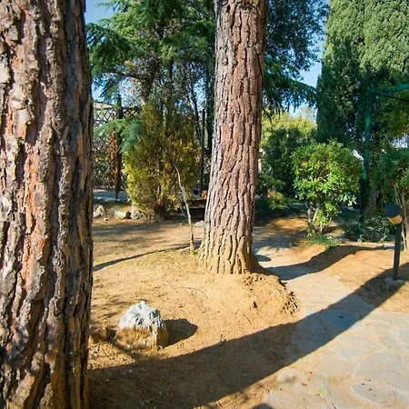 Vila Villa Elena *